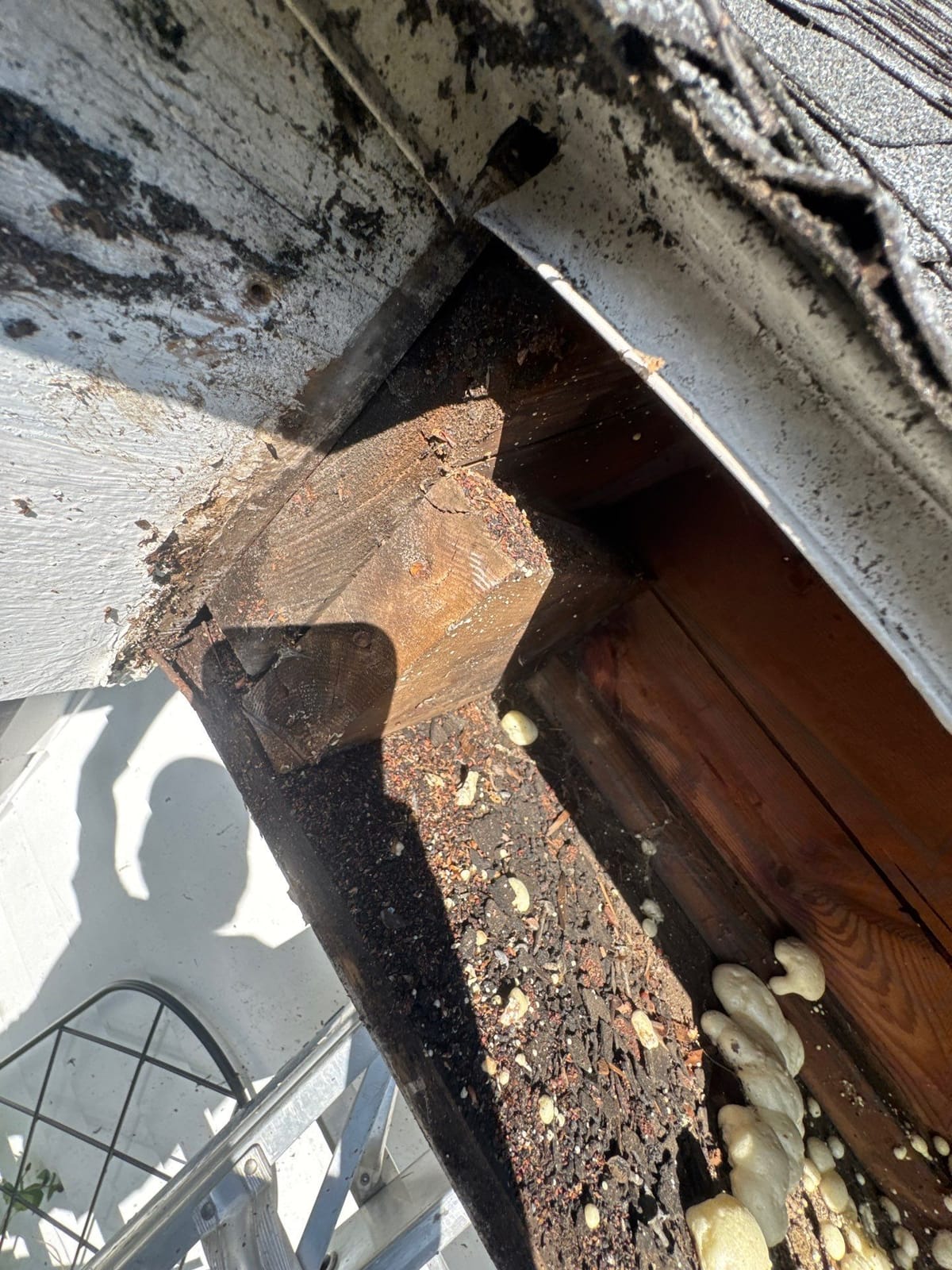 Gutter Services project in Riverside, CT — job site photo 2
